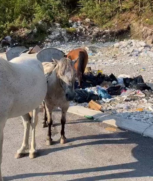 Müllproblem in Albanien