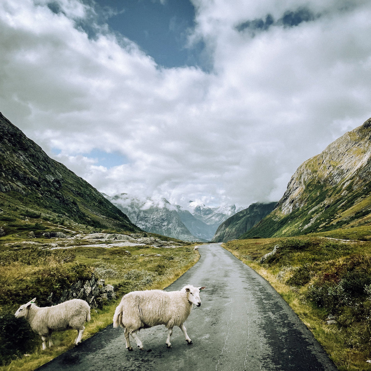 Reisebericht Norwegen