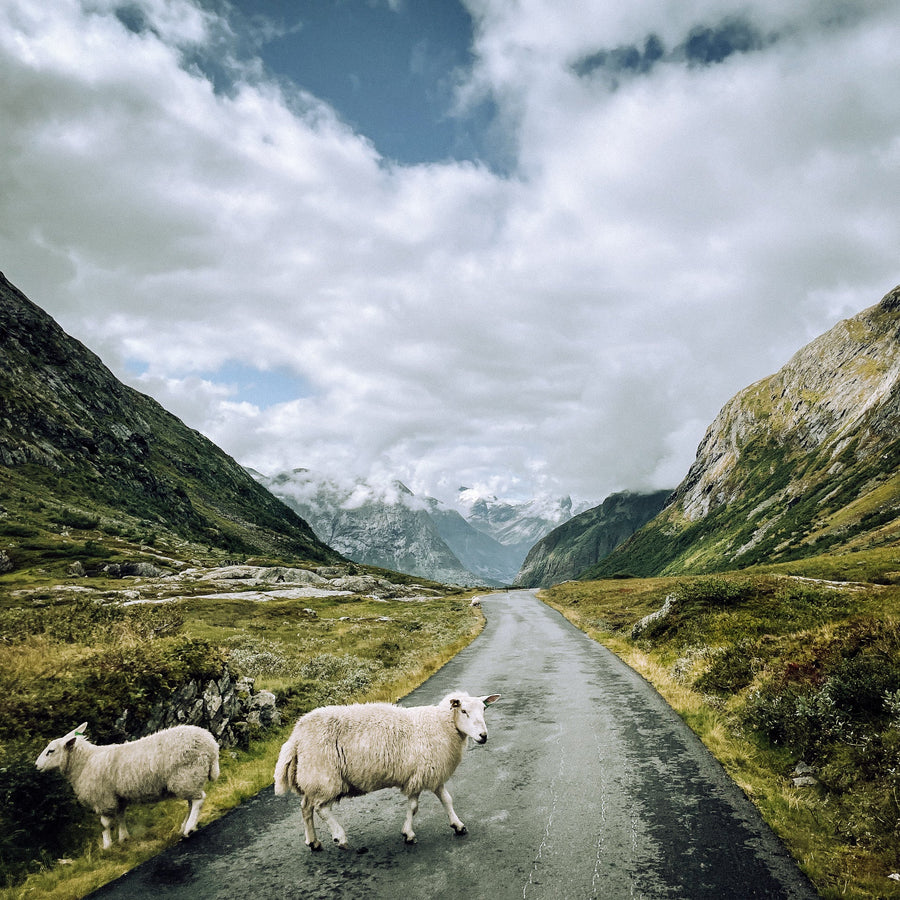 Reisebericht Norwegen