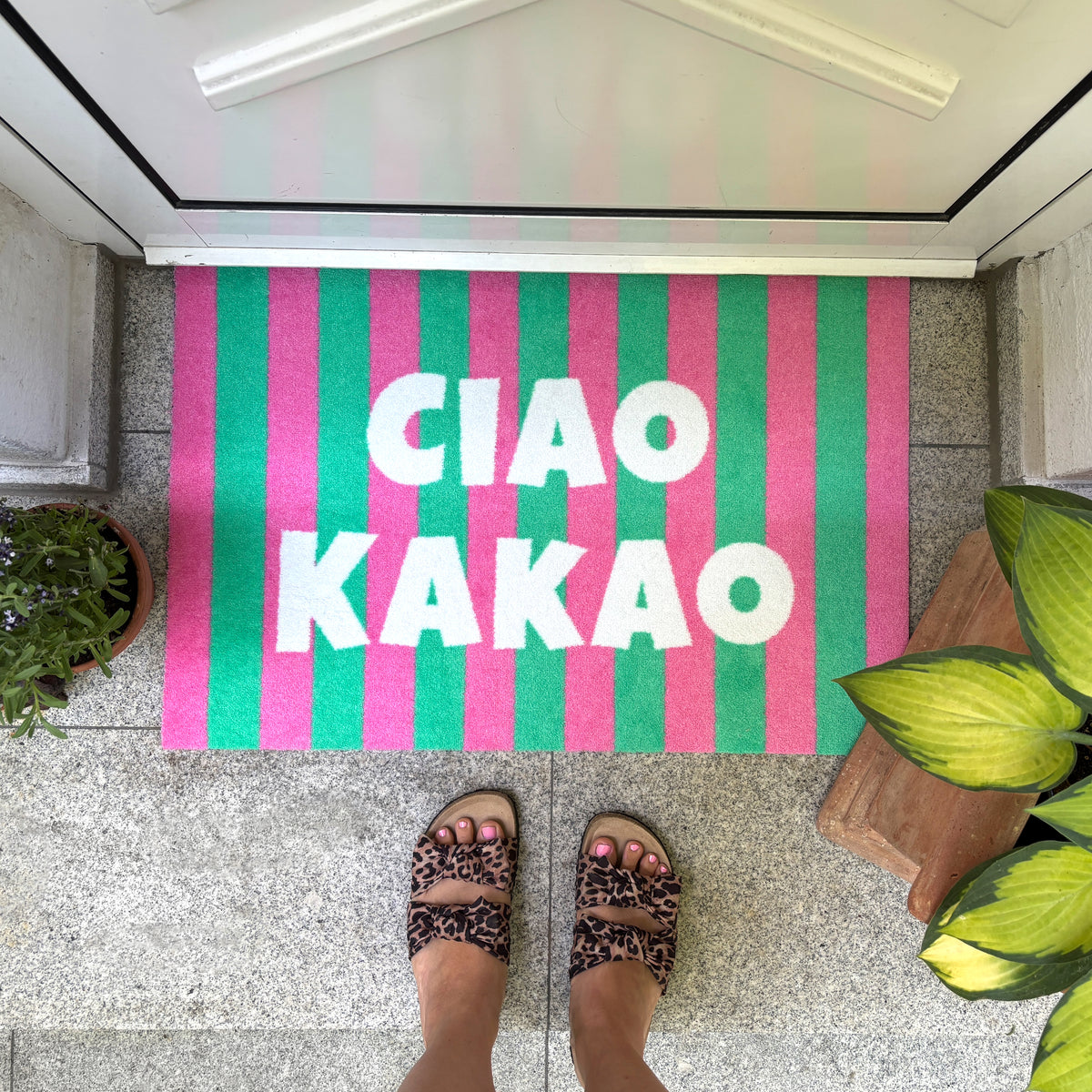 Ciao Kakao